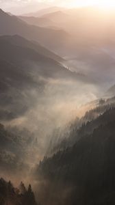 Preview wallpaper mountains, fog, sundawn, forest, landscape