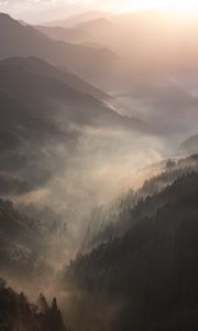 Preview wallpaper mountains, fog, sundawn, forest, landscape