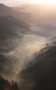 Preview wallpaper mountains, fog, sundawn, forest, landscape