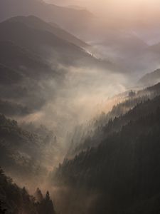 Preview wallpaper mountains, fog, sundawn, forest, landscape