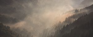 Preview wallpaper mountains, fog, sundawn, forest, landscape