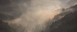 Preview wallpaper mountains, fog, sundawn, forest, landscape