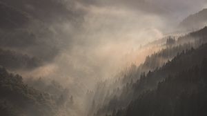 Preview wallpaper mountains, fog, sundawn, forest, landscape