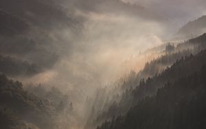 Preview wallpaper mountains, fog, sundawn, forest, landscape