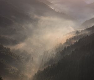 Preview wallpaper mountains, fog, sundawn, forest, landscape