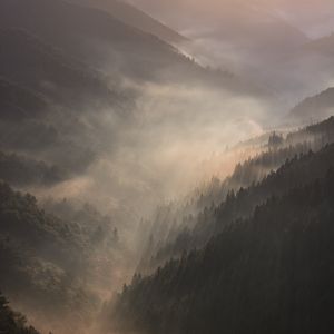 Preview wallpaper mountains, fog, sundawn, forest, landscape