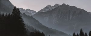 Preview wallpaper mountains, fog, trees