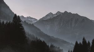 Preview wallpaper mountains, fog, trees