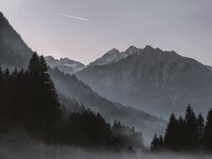 Preview wallpaper mountains, fog, trees