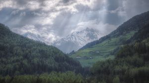 Preview wallpaper mountains, fog, trees, clouds