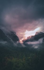 Preview wallpaper mountains, fog, trees, sky, clouds, aerial view