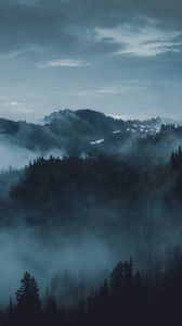 Preview wallpaper mountains, fog, trees, olympic national park, port angeles, usa