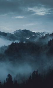 Preview wallpaper mountains, fog, trees, olympic national park, port angeles, usa