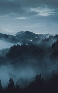 Preview wallpaper mountains, fog, trees, olympic national park, port angeles, usa