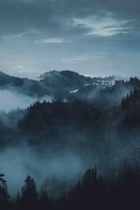 Preview wallpaper mountains, fog, trees, olympic national park, port angeles, usa