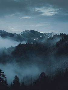 Preview wallpaper mountains, fog, trees, olympic national park, port angeles, usa