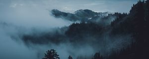 Preview wallpaper mountains, fog, trees, olympic national park, port angeles, usa