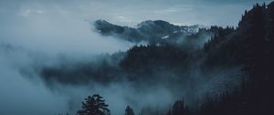 Preview wallpaper mountains, fog, trees, olympic national park, port angeles, usa