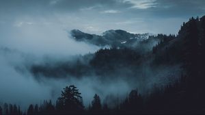 Preview wallpaper mountains, fog, trees, olympic national park, port angeles, usa