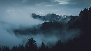 Preview wallpaper mountains, fog, trees, olympic national park, port angeles, usa