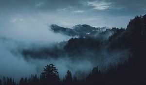 Preview wallpaper mountains, fog, trees, olympic national park, port angeles, usa