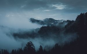 Preview wallpaper mountains, fog, trees, olympic national park, port angeles, usa