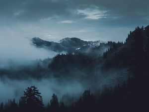 Preview wallpaper mountains, fog, trees, olympic national park, port angeles, usa