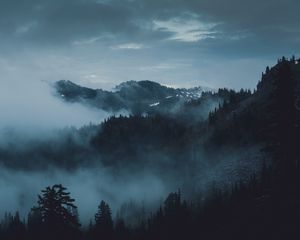 Preview wallpaper mountains, fog, trees, olympic national park, port angeles, usa