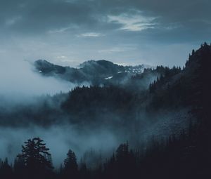 Preview wallpaper mountains, fog, trees, olympic national park, port angeles, usa