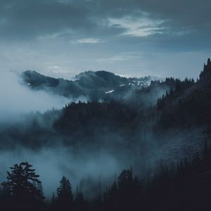 Preview wallpaper mountains, fog, trees, olympic national park, port angeles, usa