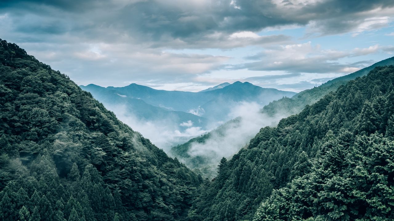 Wallpaper mountains, fog, trees, aerial view, landscape