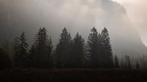 Preview wallpaper mountains, fog, trees, sky, dark
