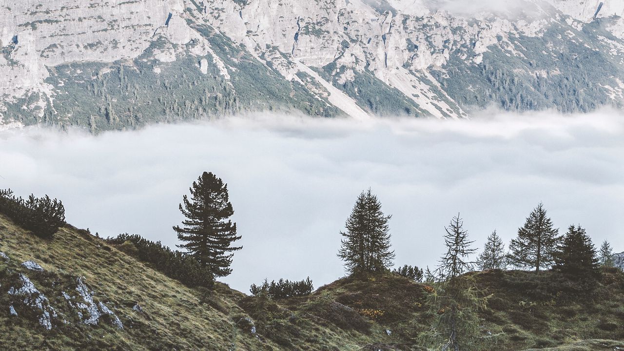 Wallpaper mountains, fog, trees, foot, hills