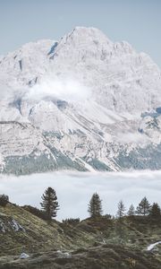 Preview wallpaper mountains, fog, trees, foot, hills