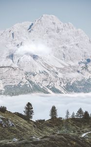 Preview wallpaper mountains, fog, trees, foot, hills