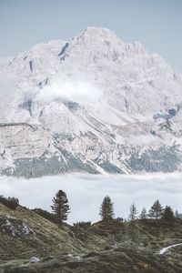 Preview wallpaper mountains, fog, trees, foot, hills