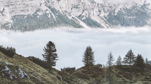 Preview wallpaper mountains, fog, trees, foot, hills