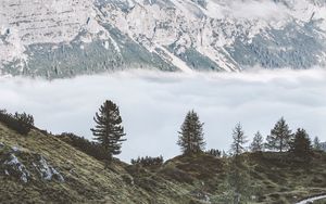 Preview wallpaper mountains, fog, trees, foot, hills