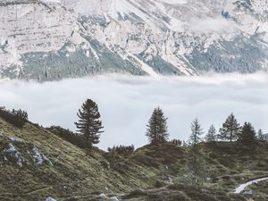 Preview wallpaper mountains, fog, trees, foot, hills