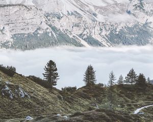 Preview wallpaper mountains, fog, trees, foot, hills