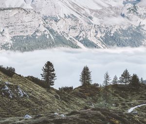 Preview wallpaper mountains, fog, trees, foot, hills