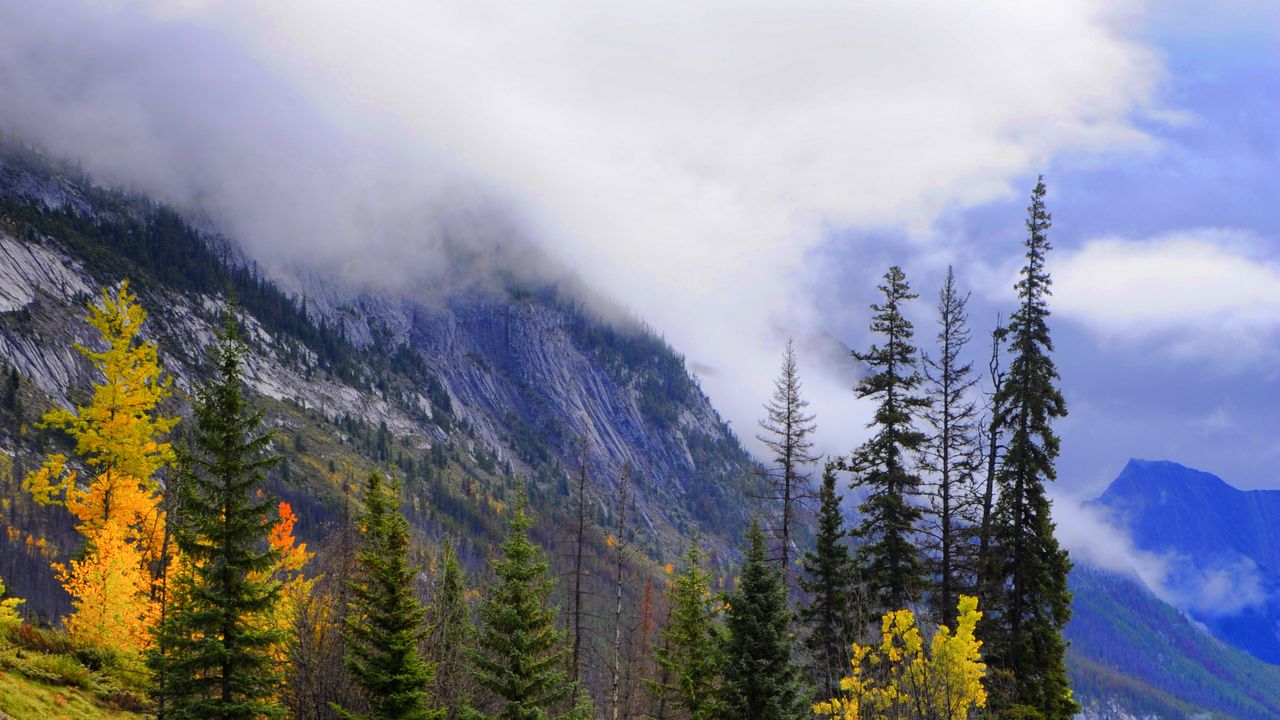 Wallpaper mountains, fog, trees, stones