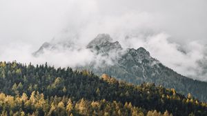 Preview wallpaper mountains, fog, trees, forest