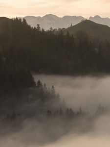 Preview wallpaper mountains, fog, trees, dusk