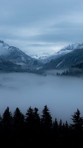 Preview wallpaper mountains, fog, trees, valley, dusk