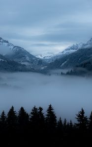 Preview wallpaper mountains, fog, trees, valley, dusk