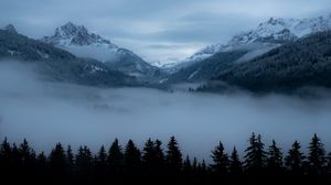 Preview wallpaper mountains, fog, trees, valley, dusk