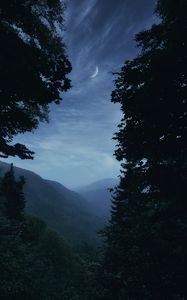 Preview wallpaper mountains, fog, trees, moon, landscape, dusk