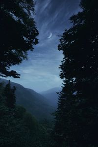 Preview wallpaper mountains, fog, trees, moon, landscape, dusk