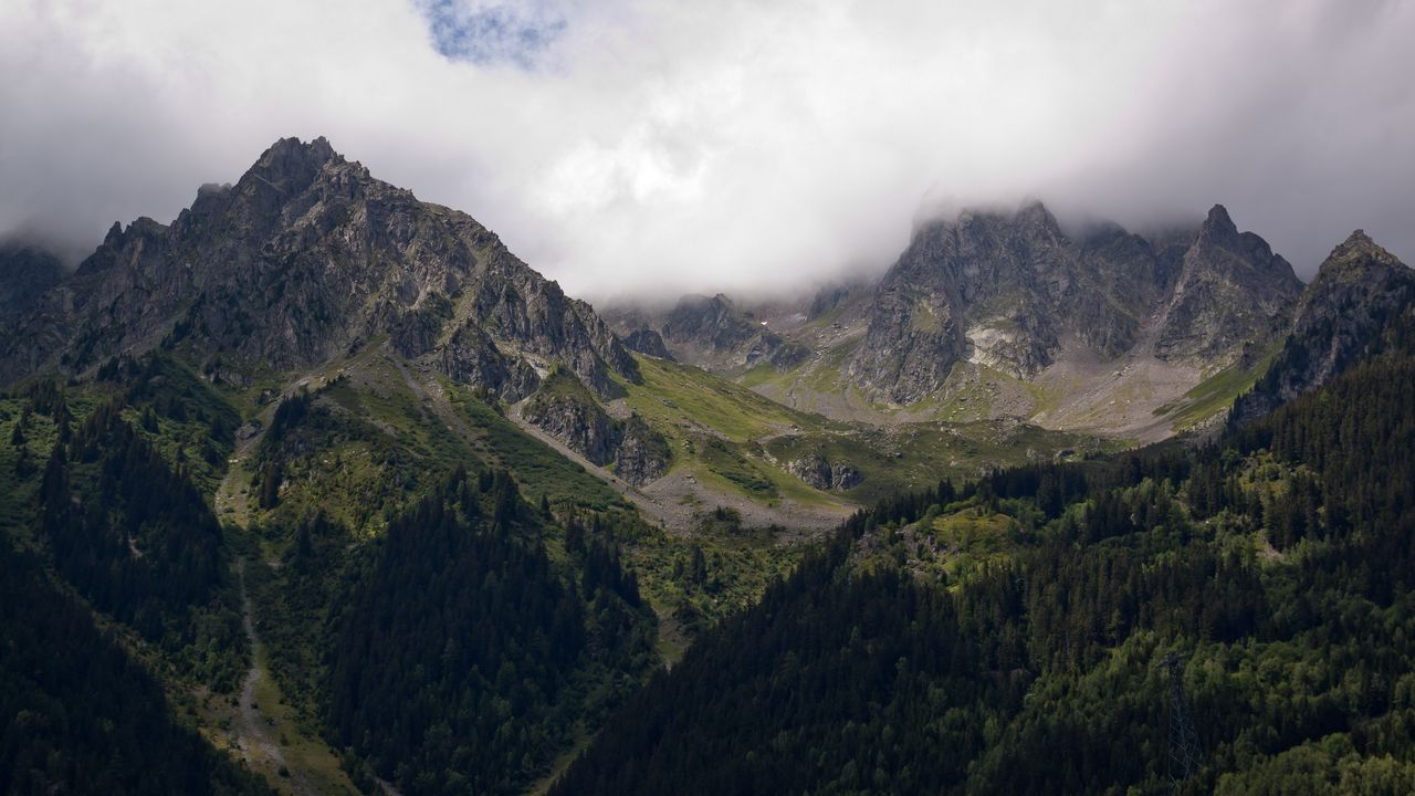 Wallpaper mountains, fog, trees, landscape
